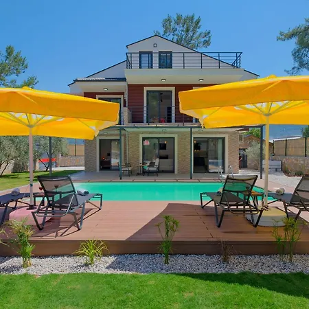 Ronia Villa