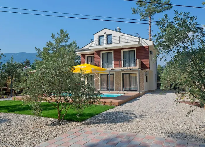 Ronia フェティエ