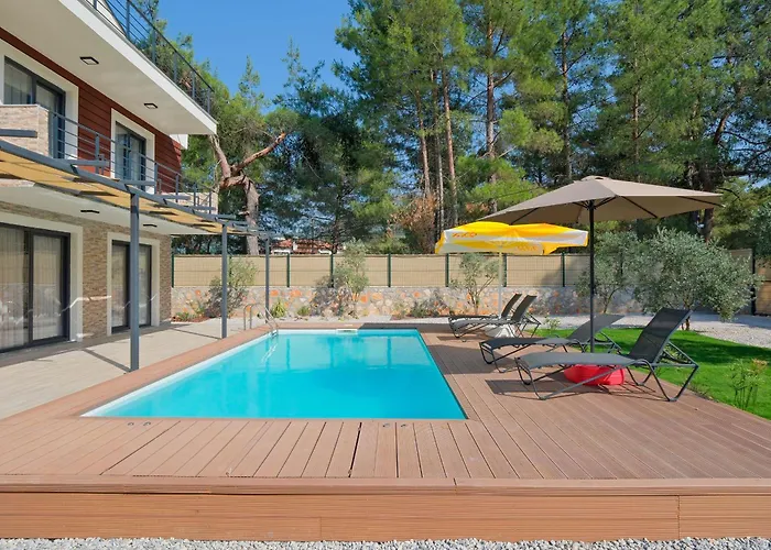 ヴィラ Ronia フェティエ